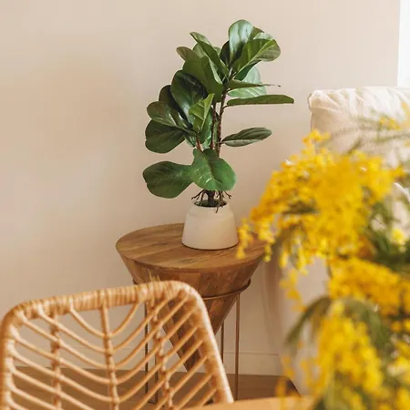 Bravissimo Calderers La Serp, View Over Onyar River Διαμέρισμα