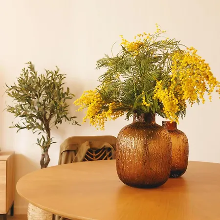 Bravissimo Calderers La Serp, View Over Onyar River Διαμέρισμα Χιρόνα