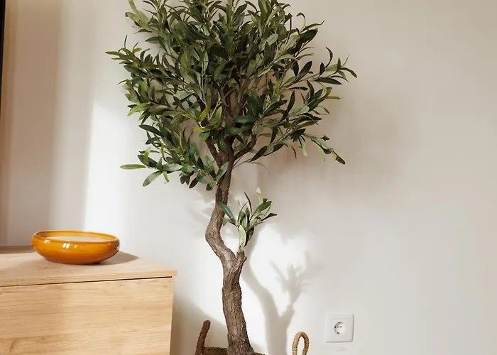 דירה Bravissimo Calderers La Serp, View Over Onyar River ז'ירונה