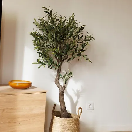 公寓 Bravissimo Calderers La Serp, View Over Onyar River 赫罗纳