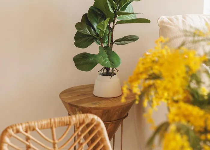 Bravissimo Calderers La Serp, View Over Onyar River شقة